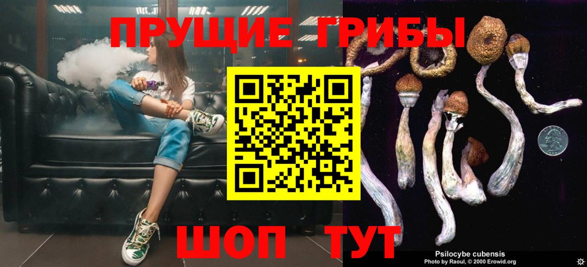 Псилоцибиновые грибы мухоморы Тулун